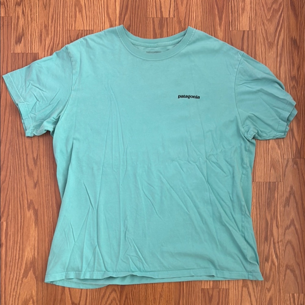 Patagonia Blue Short Sleeve Tee